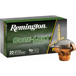 .300 Win Mag