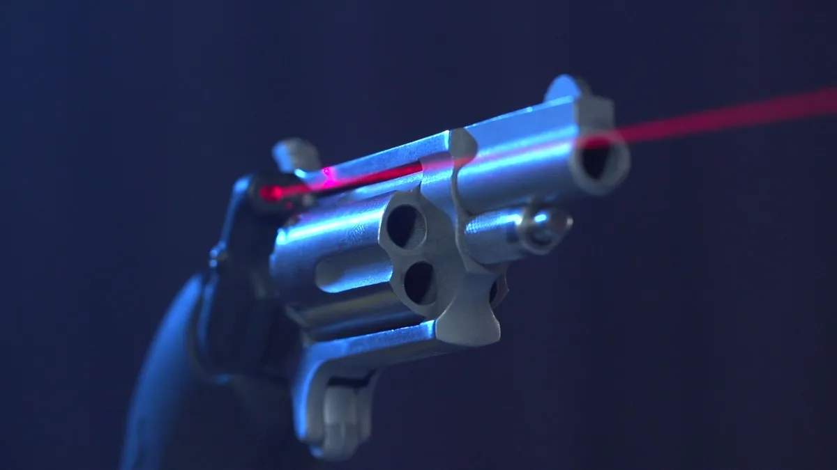 Viridian Weapon Technologies Grip Series, Red Laser, Fits North American Arms Mag, Black - Laser, vista 2